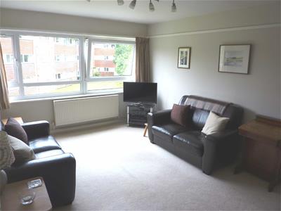 Picture 5
